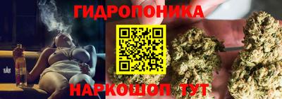 тгк Будённовск