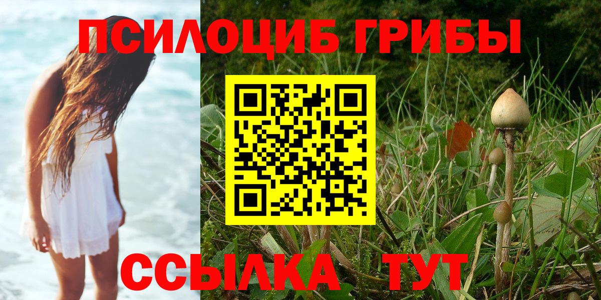 Псилоцибиновые грибы Magic Shrooms Наро-Фоминск